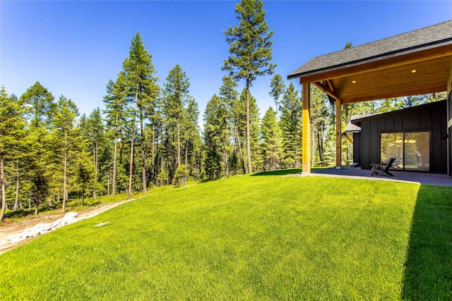 view of yard featuring a patio area