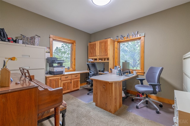 office space featuring light carpet and plenty of natural light