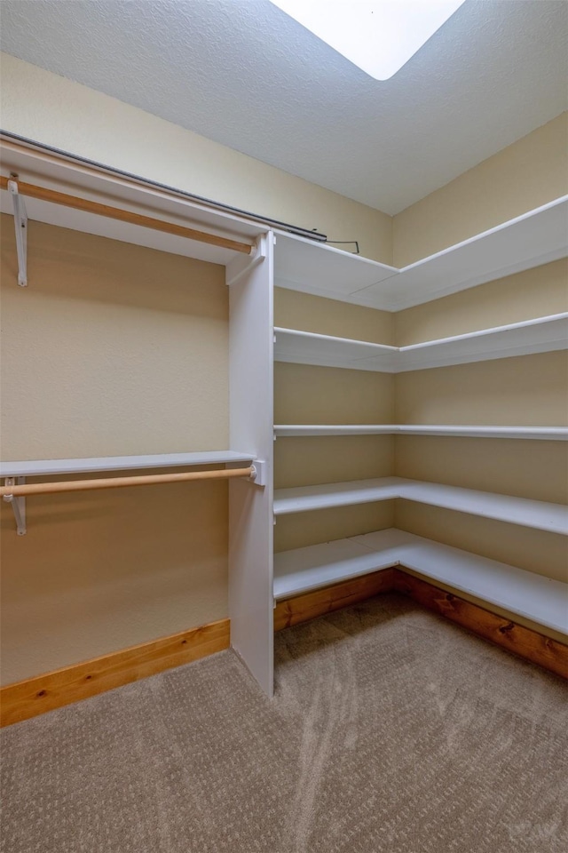 214 Solomon Mountain Rd, Clancy, MT 59634 - walk in closet featuring carpet flooring