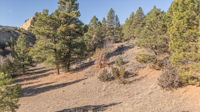 Listing photo 3 for 7285 Spring Creek Trl, Helena MT 59602