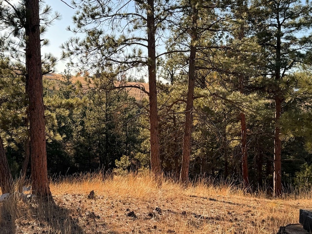 view of landscape