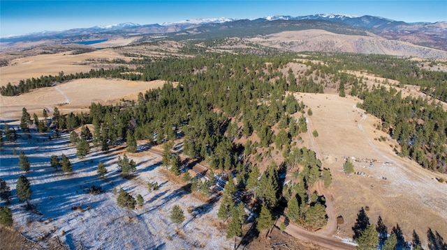 drone / aerial view featuring a mountain view