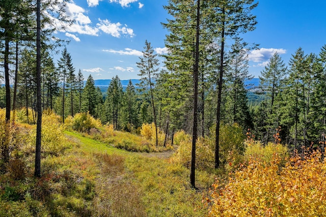 view of nature with a mountain view