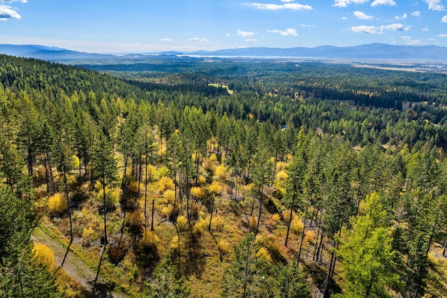 bird's eye view with a mountain view