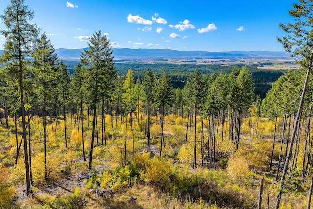 property view of mountains