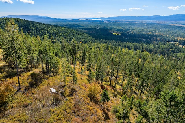 drone / aerial view featuring a mountain view