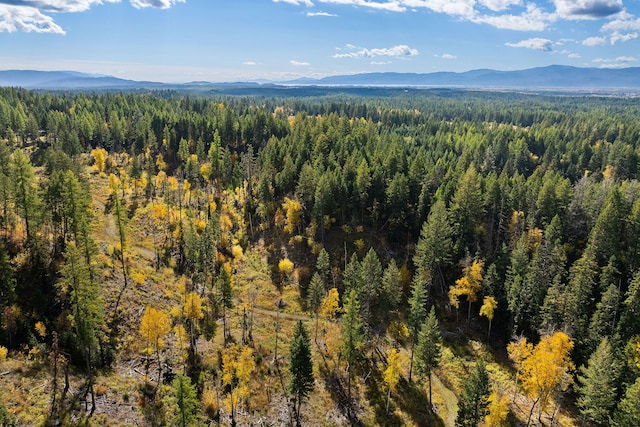 aerial view with a mountain view