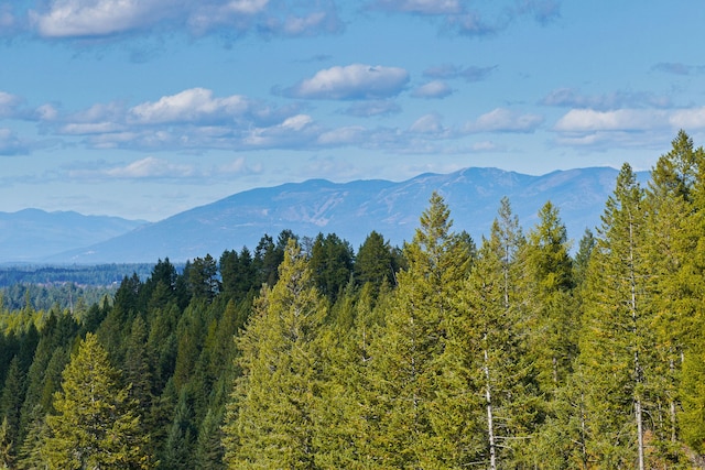 view of mountain feature