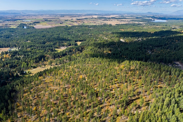 bird's eye view featuring a mountain view