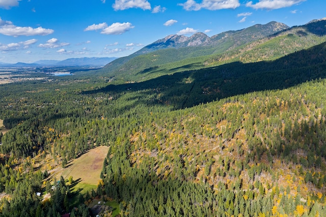 view of mountain feature