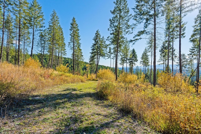 view of landscape