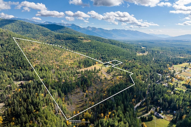 bird's eye view with a mountain view