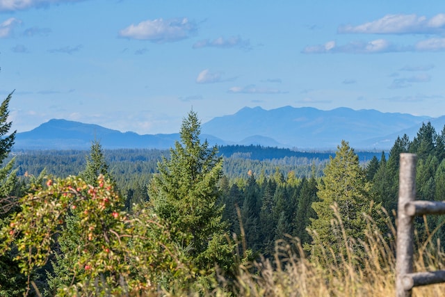 view of mountain feature