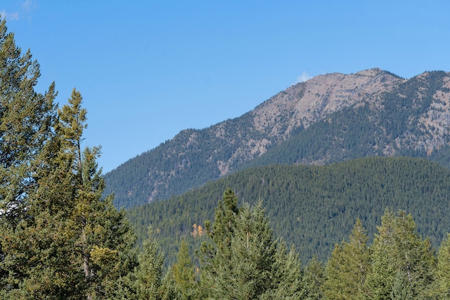 view of mountain feature