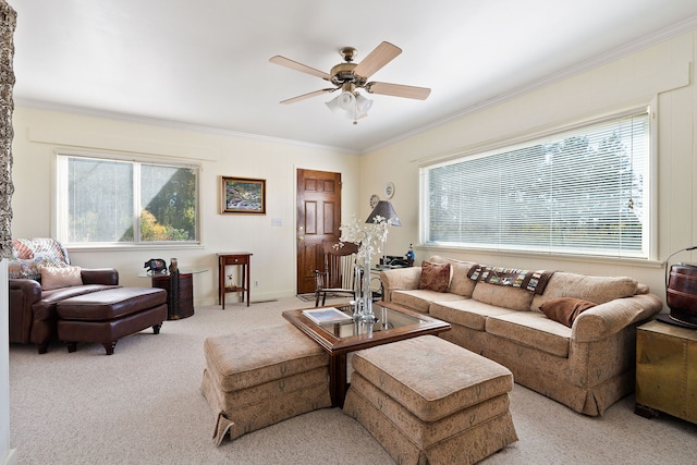 carpeted living room with a wealth of natural light, crown molding, and ceiling fan