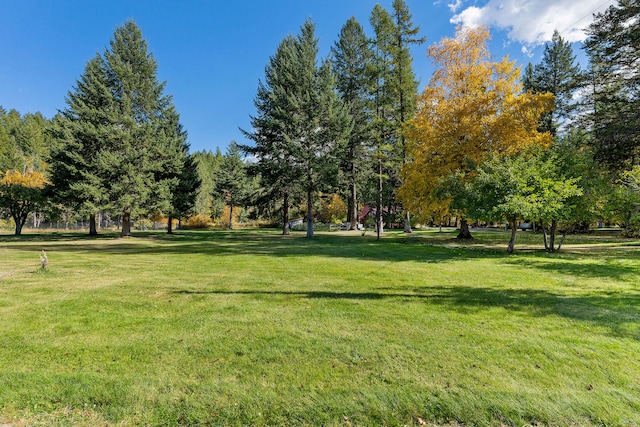 surrounding community featuring a lawn