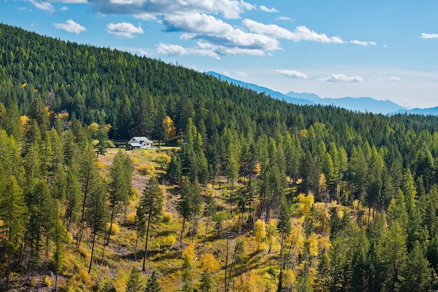 property view of mountains