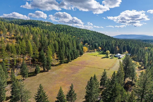 bird's eye view featuring a mountain view