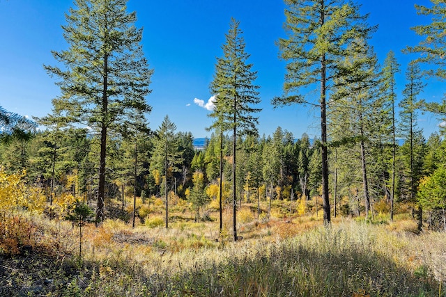 view of local wilderness