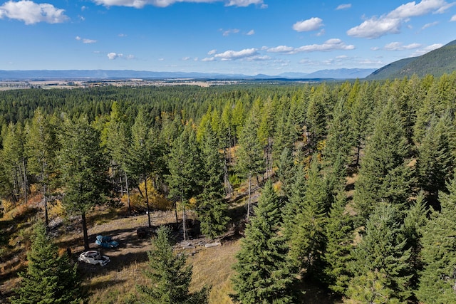 drone / aerial view with a mountain view