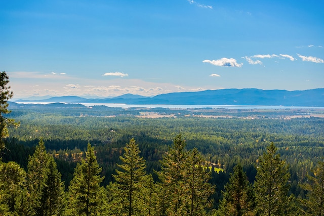 view of mountain feature