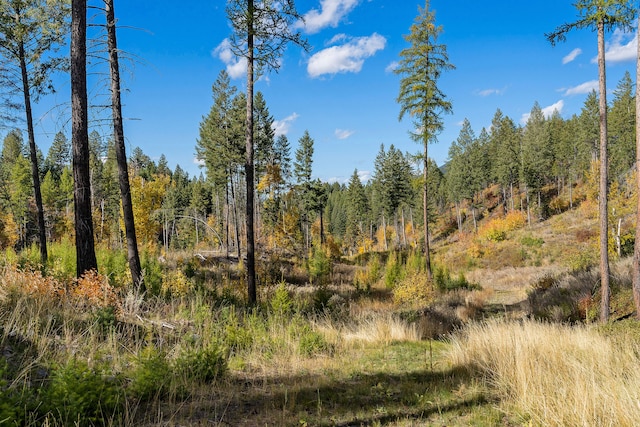 view of local wilderness