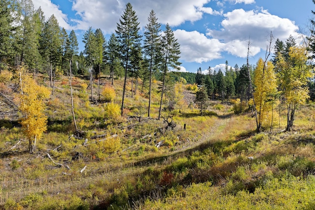 view of nature