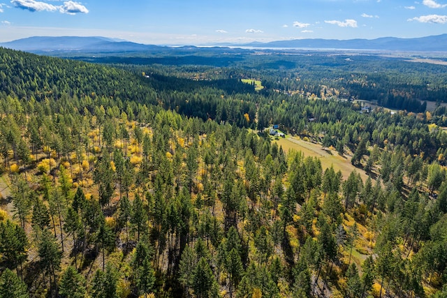 bird's eye view with a mountain view