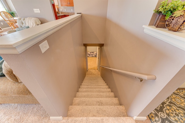 staircase featuring carpet flooring