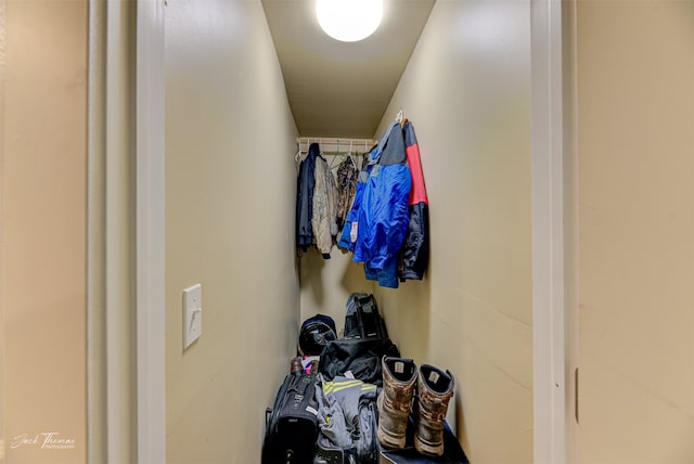 view of spacious closet