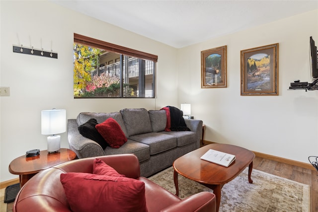 living room with hardwood / wood-style floors