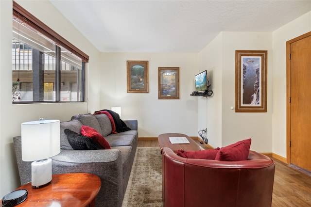 living room with hardwood / wood-style floors