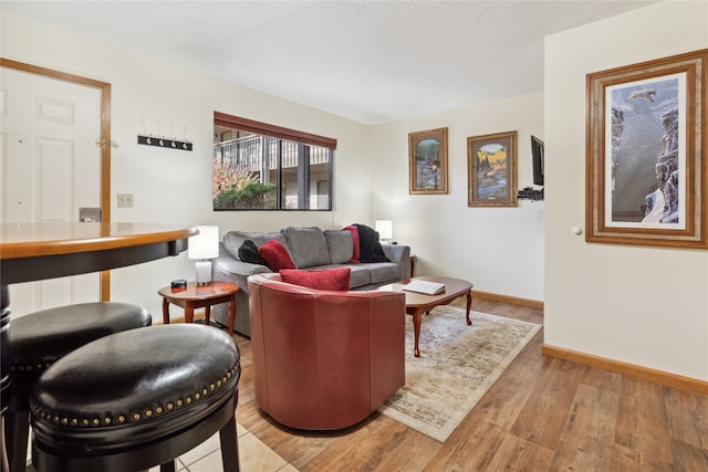 living room with light hardwood / wood-style flooring