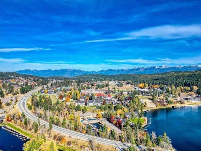 birds eye view of property featuring a water and mountain view