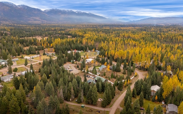 birds eye view of property with a mountain view