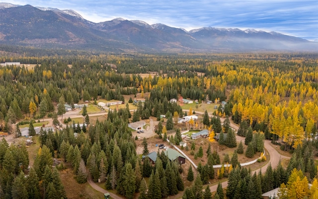 drone / aerial view featuring a mountain view