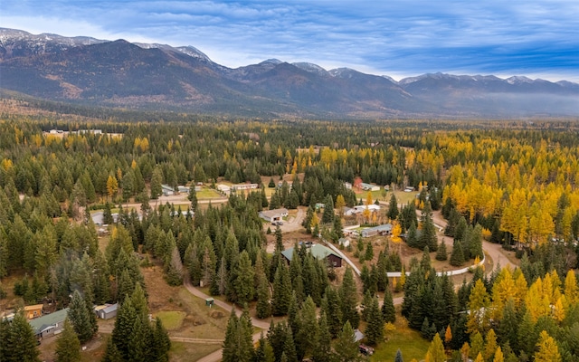 view of mountain feature