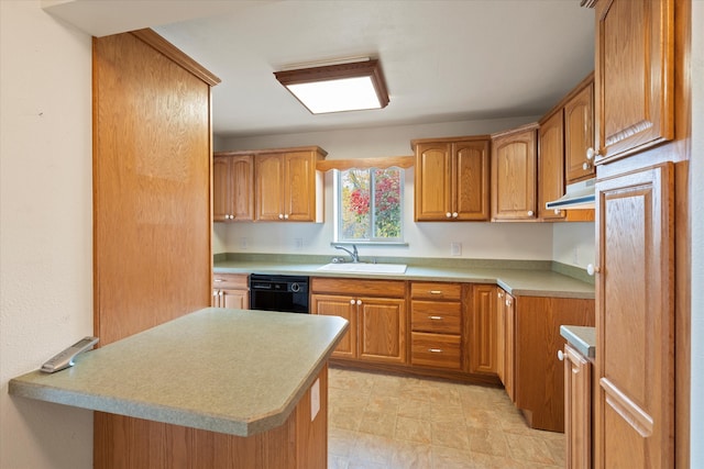 kitchen with sink and dishwasher