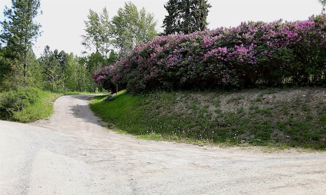 view of road