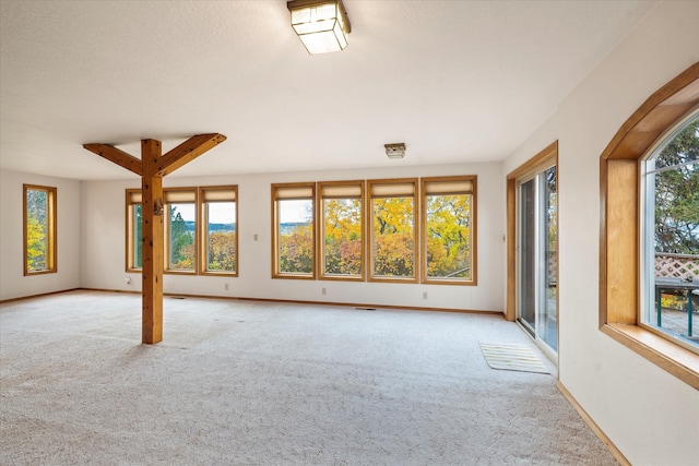 interior space with light carpet and a healthy amount of sunlight