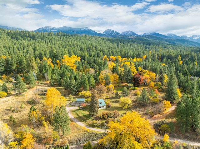 bird's eye view with a mountain view