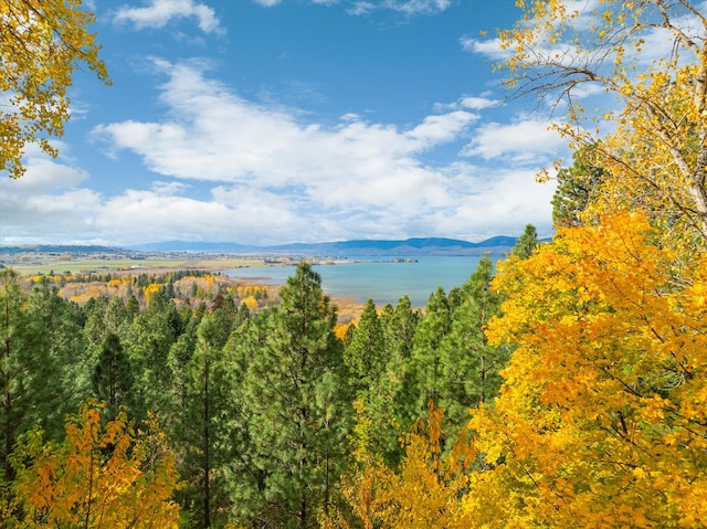 property view of mountains featuring a water view