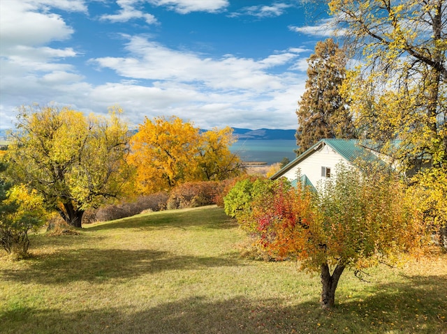 view of yard featuring a mountain view