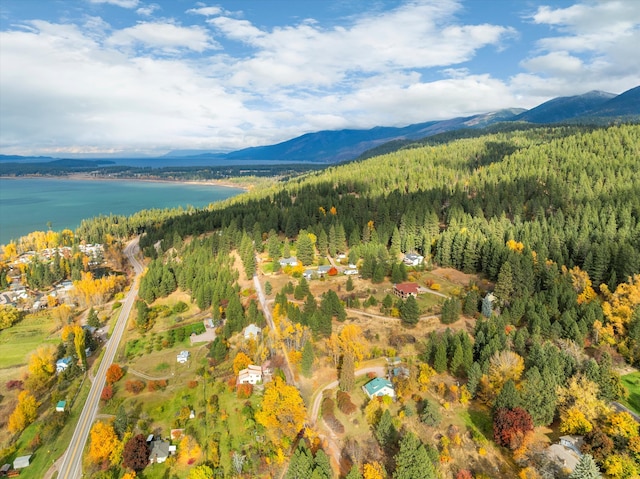 drone / aerial view with a water and mountain view