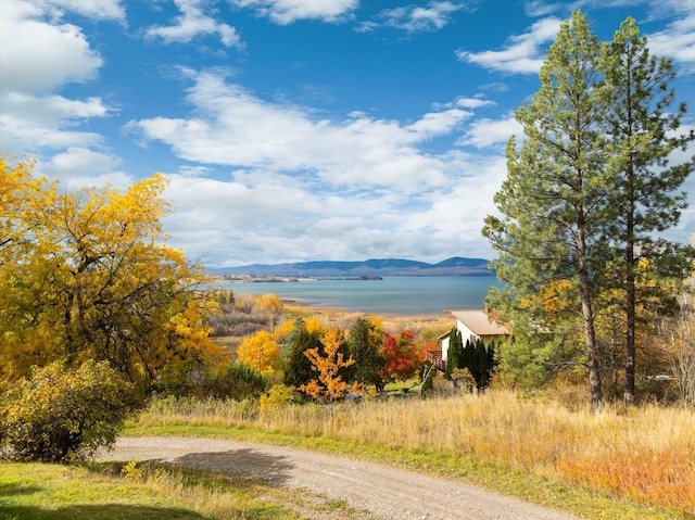 property view of mountains with a water view