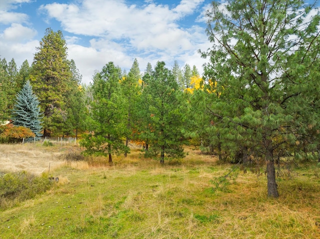 view of landscape