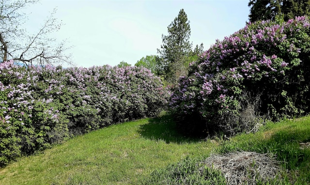 view of landscape