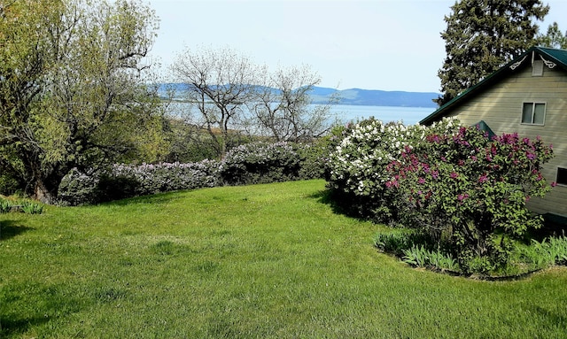 view of yard featuring a mountain view