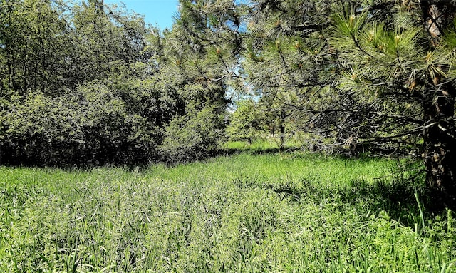 view of landscape