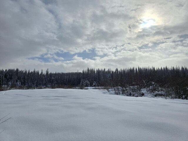 RAWLAND(TBD) Yaak River Road, Yaak, MT 59935